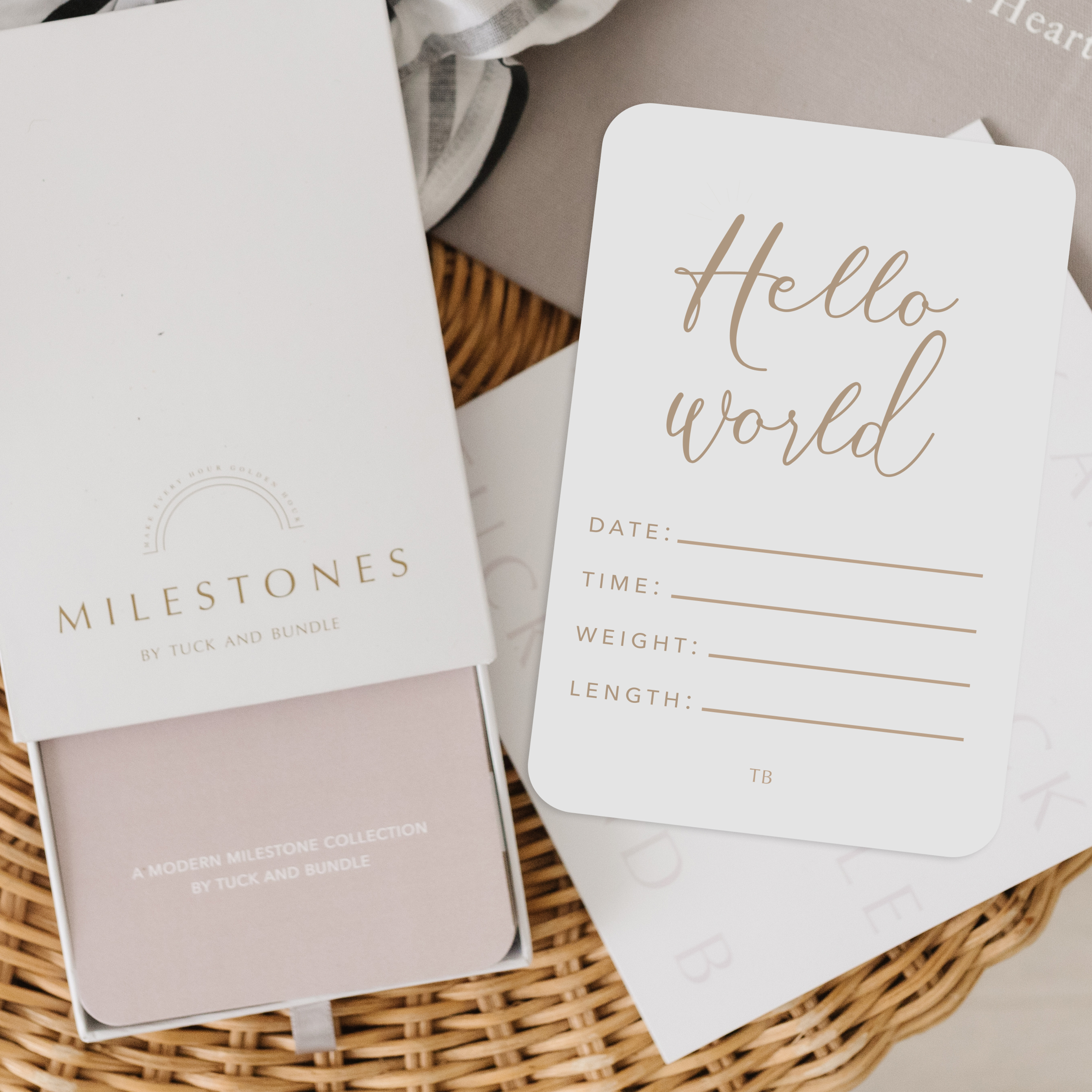 Modern Baby Milestone Cards